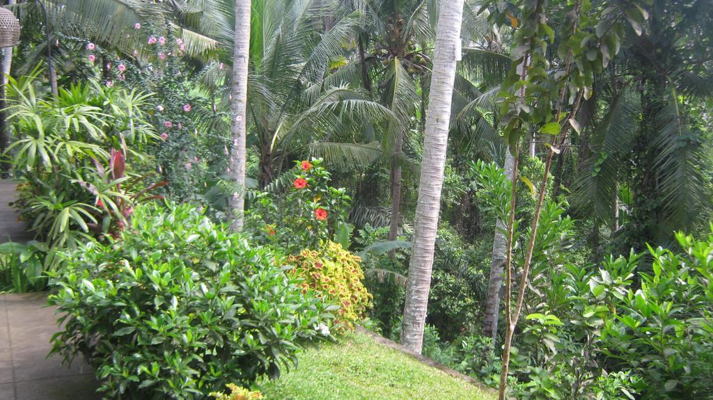 Mahanadewi Villa Ubud Chambre photo