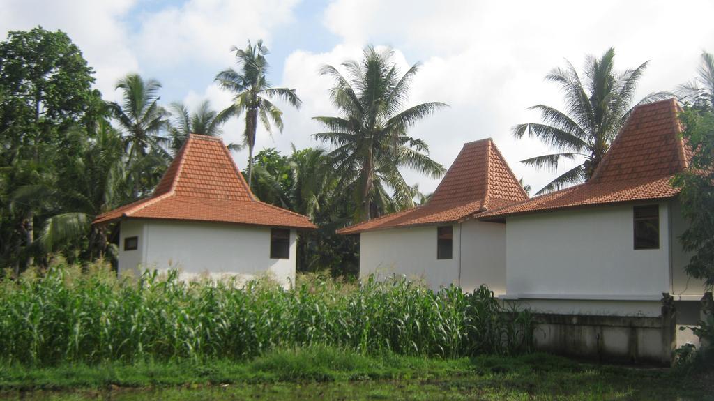 Mahanadewi Villa Ubud Extérieur photo